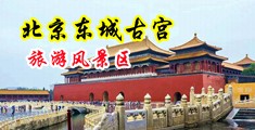 操鸡巴日韩中国北京-东城古宫旅游风景区